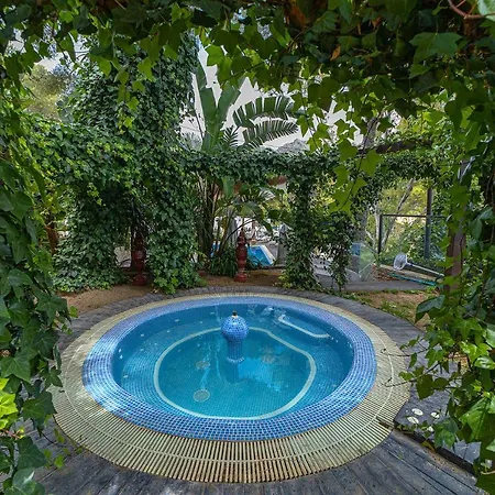 Lavanda - Privado En Compartida, *